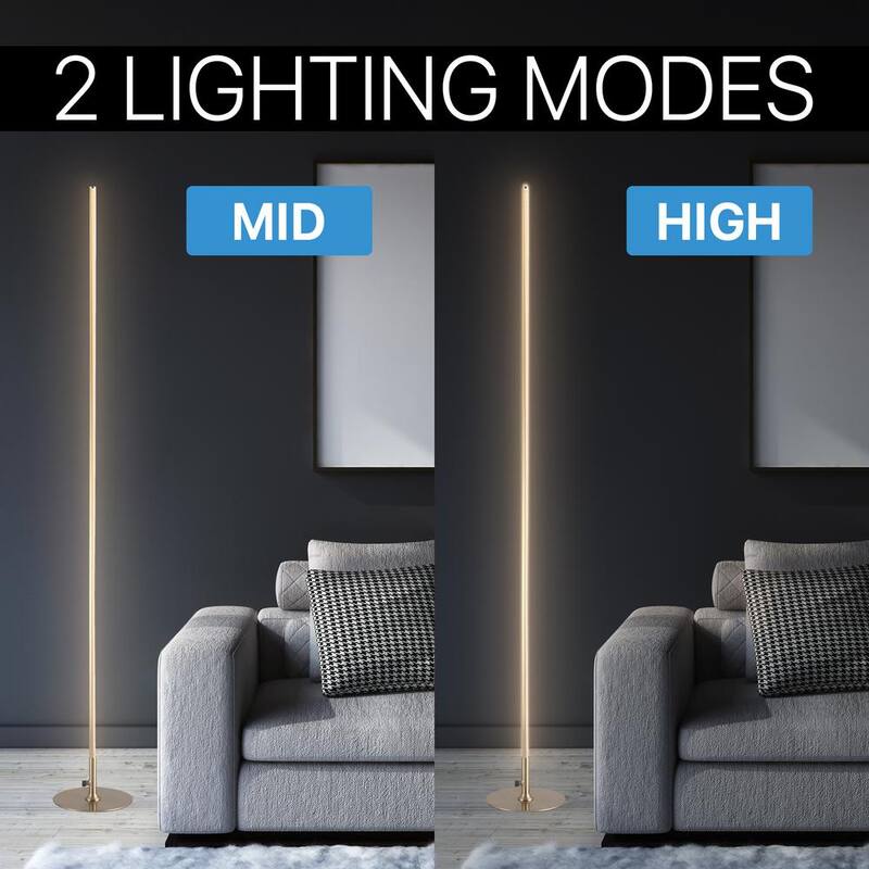 Iris 59.5 in. Gold LED Integrated Floor Lamp
